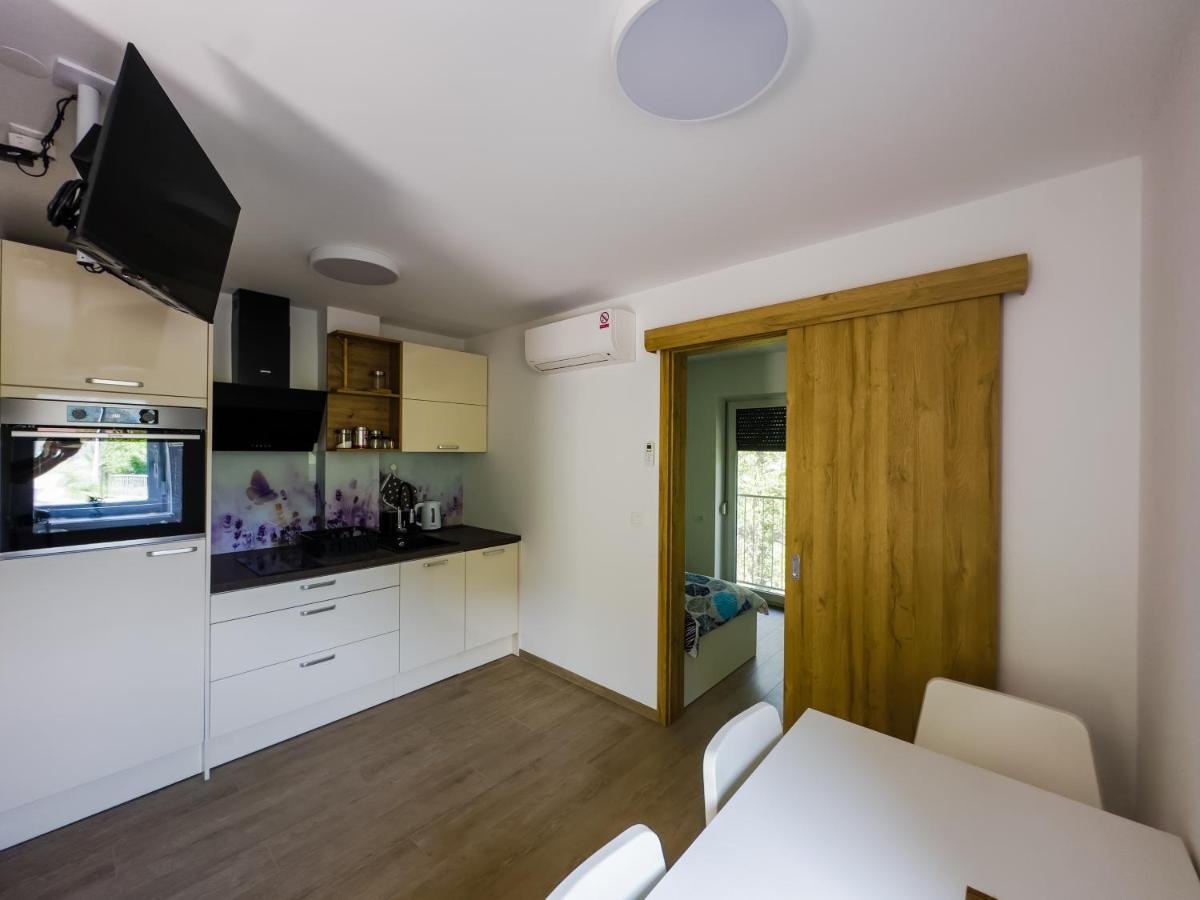 Apartmaji Silva Slap ob Idrijci Ngoại thất bức ảnh